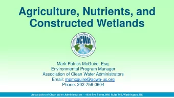 Constructed Wetlands  Mark Patrick McGuire, Esq.  Environmental Program Manager  Association of