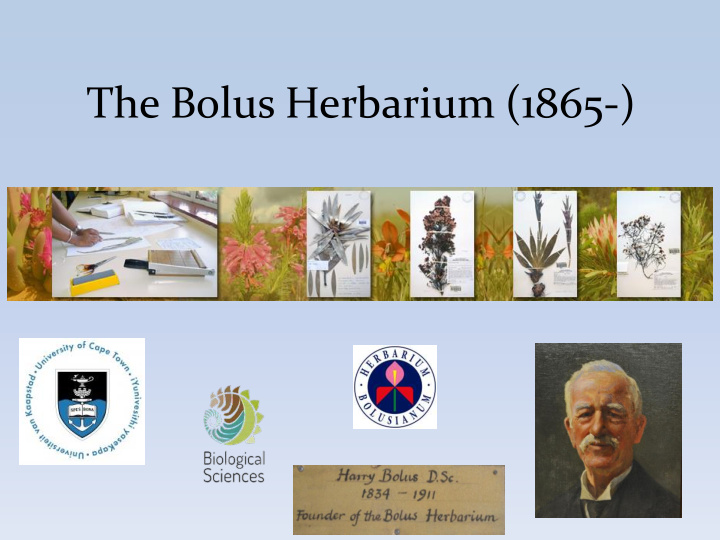 the bolus herbarium 1865