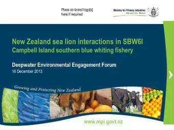 New Zealand sea lion interactions in SBW6I  Campbell Island southern blue whiting fishery