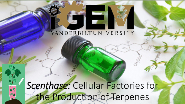 scenthase cellular factories for