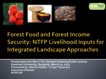 Executive Director  NTFP-EP  Non-timber forest products  honey  wild fruits  coffee  vines  fibers