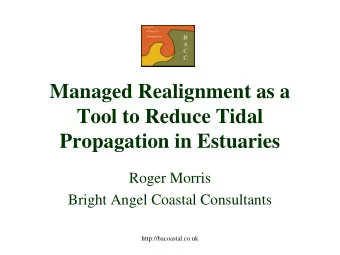 Tool to Reduce Tidal Propagation in Estuaries  Roger Morris  Bright Angel Coastal Consultants