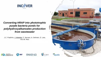 Converting HRAP into phototrophic  purple bacteria ponds for  polyhydroxyalkanoates production