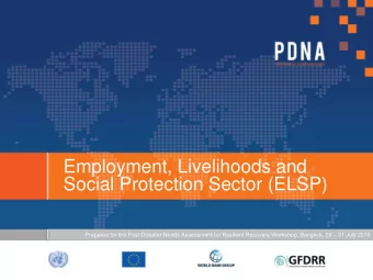 Employment, Livelihoods and  Social Protection Sector (ELSP) Prepared for the Post Disaster Needs