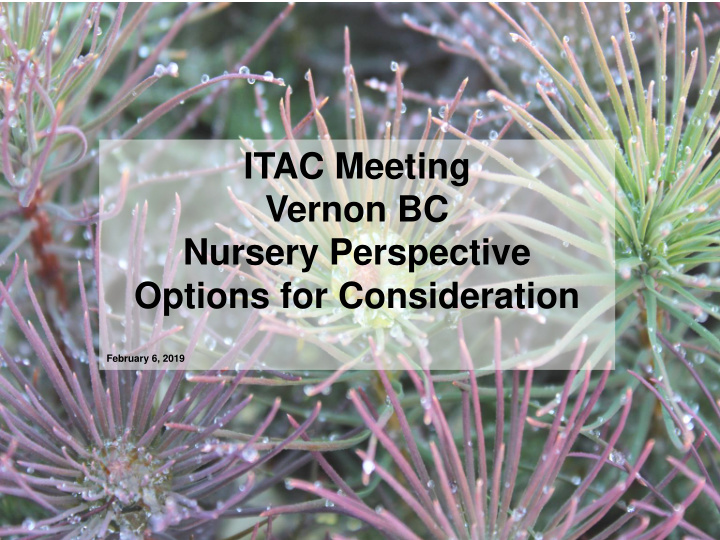 itac meeting vernon bc nursery perspective options for