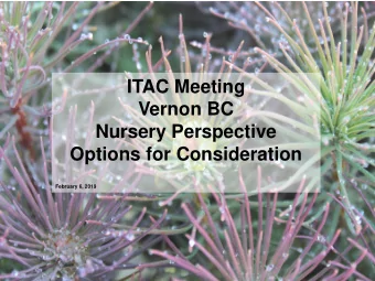 ITAC Meeting  Vernon BC  Nursery Perspective  Options for Consideration  February 6, 2019