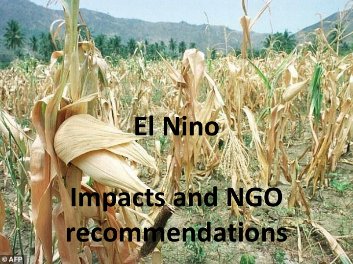 impacts and ngo