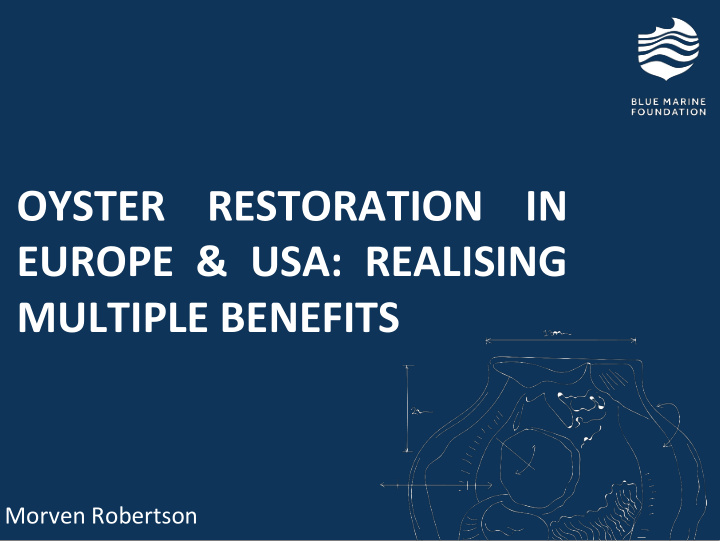 oyster restoration in europe usa realising multiple