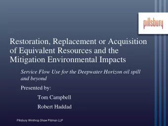 of Equivalent Resources and the  Mitigation Environmental Impacts  Service Flow Use for the