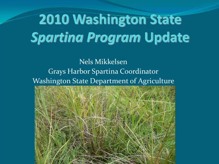 nels mikkelsen grays harbor spartina coordinator