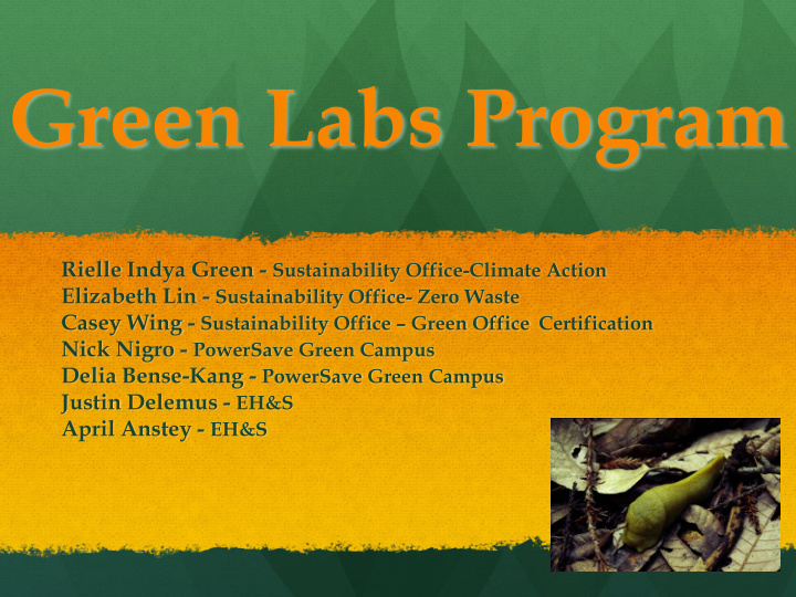 green labs program