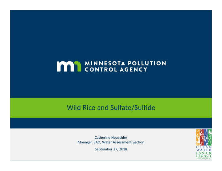 wild rice and sulfate sulfide