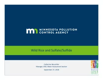 Wild Rice and Sulfate/Sulfide Catherine Neuschler Manager, EAO, Water Assessment Section September