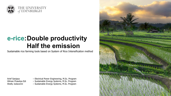 e rice double productivity half the emission