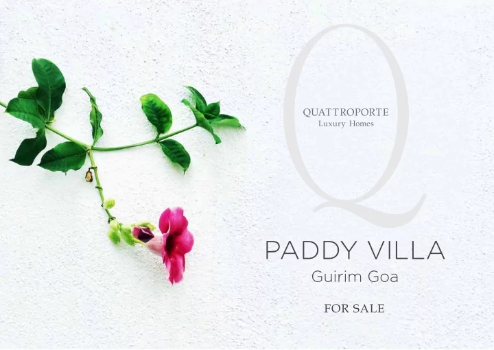 paddy villa