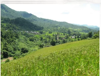 Background  Metta has been actively engaging with eco-  friendly techniques for growing crops