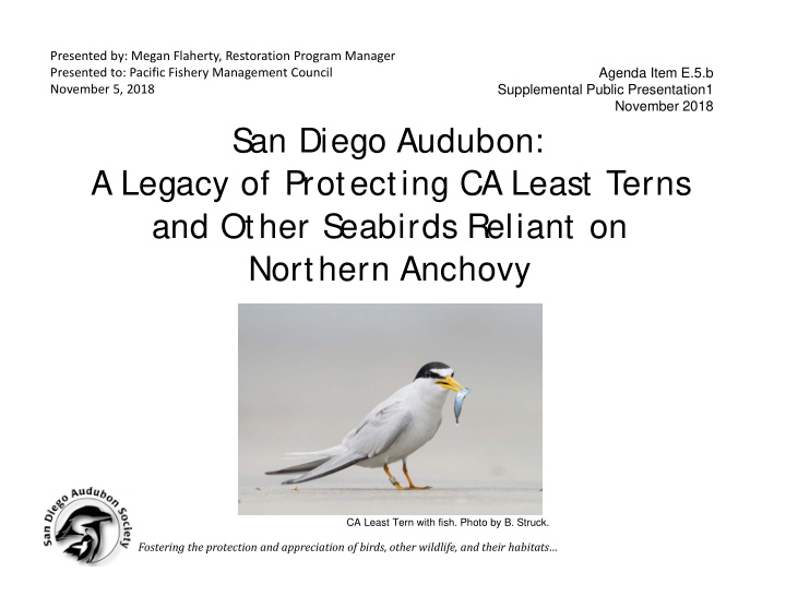 s an diego audubon a legacy of protecting ca least terns