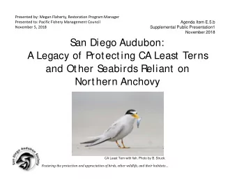 S  an Diego Audubon:  A Legacy of Protecting CA Least Terns  and Other S  eabirds Reliant on