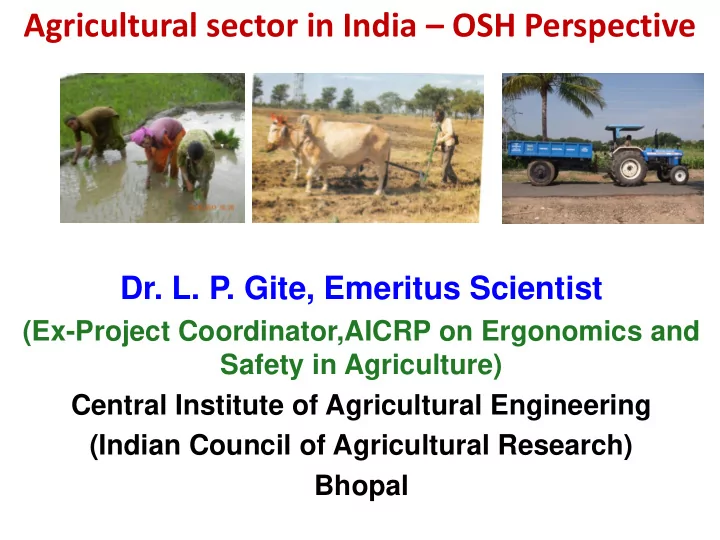 agricultural sector in india osh perspective