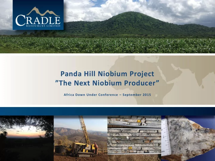 panda hill niobium