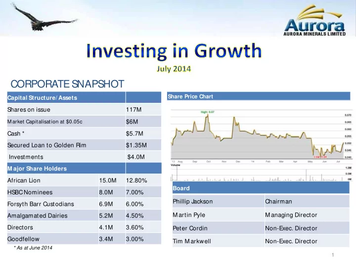 corporate snapshot