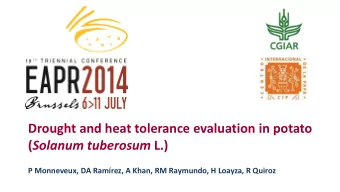 ( Solanum tuberosum L.)  P Monneveux, DA Ramrez, A Khan, RM Raymundo, H Loayza, R Quiroz