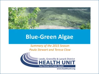 Blue-Green Algae  What To Do When Your Lake is Affected  Summary of the 2015 Season  Paula Stewart