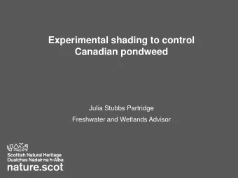 Canadian pondweed  Julia Stubbs Partridge  Freshwater and Wetlands Advisor  Canadian pondweed