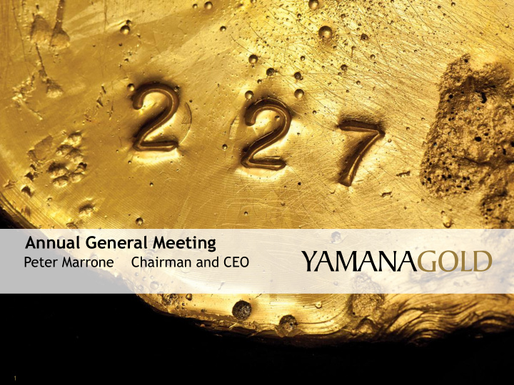 annual general meeting