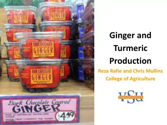 Ginger and  Turmeric  Production  Reza Rafie and Chris Mullins  College of Agriculture