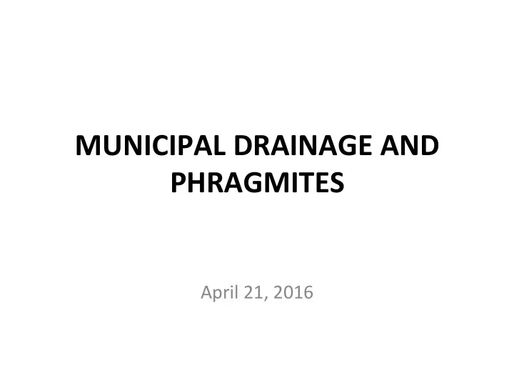 municipal drainage and phragmites