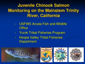Juvenile Chinook Salmon  Monitoring on the Mainstem Trinity  River, California  USFWS Arcata Fish