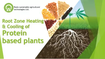 Protein  based plants  Roots - Sustainable  Agricultural  Technologies  Israeli-based and
