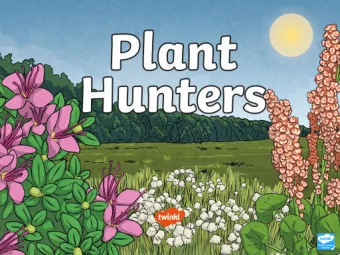 Aim  Aim  To find out about the way new plants arrived in our country.  Success Criteria