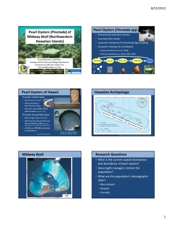 Pearl Oysters ( Pinctada spp.) Pearl Oysters ( Pinctada ) of  Economically important industry