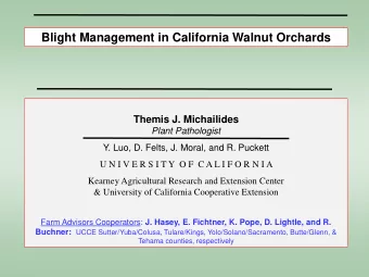 Blight Management in California Walnut Orchards  Themis J. Michailides  Plant Pathologist  Y. Luo,