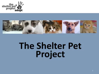 The Shelter Pet  Project  1 The Problem  6-8 million dogs and cats enter shelters  and rescue