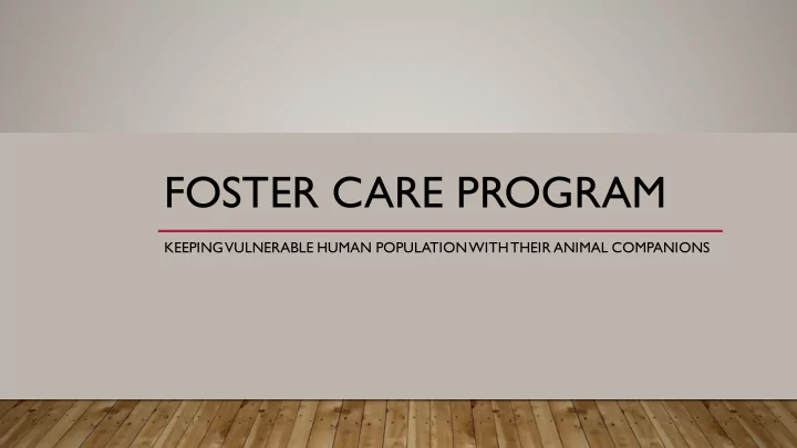 foster care program