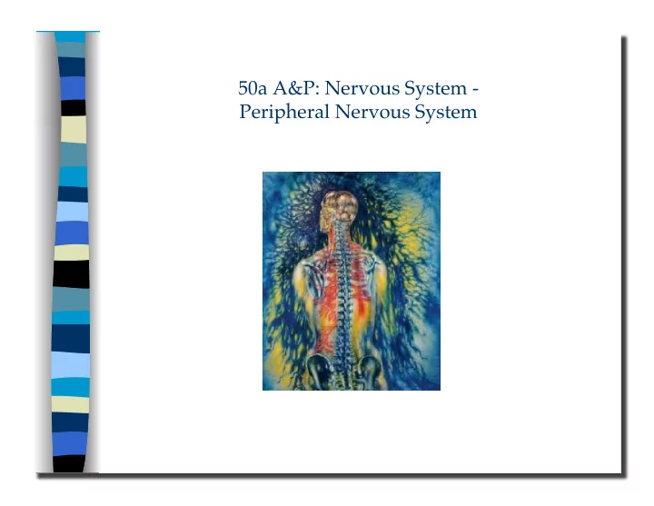 peripheral nervous system