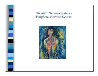 Peripheral Nervous System 50a A&amp;P: Nervous System -  Peripheral Nervous System   Class