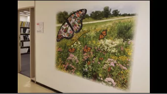 Dont Mow It  GROW IT!  Operation Habitat is IDOTs program to investigate opportunities to