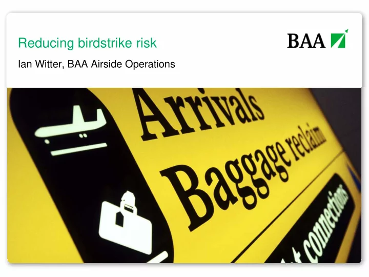 reducing birdstrike risk