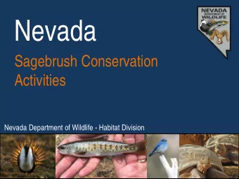 Nevada  Private Lands 4 Wildlife:  Sagebrush Conservation  Activities  Nevada Department of