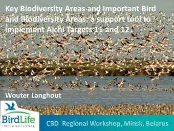 Key Biodiversity Areas and Important Bird  and Biodiversity Areas: a support tool to  implement