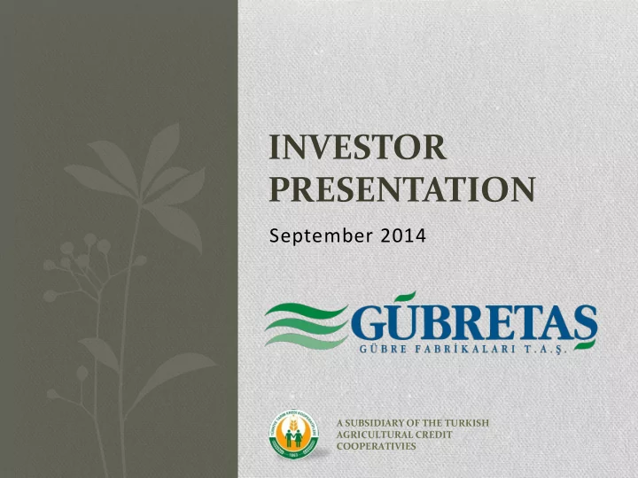 investor