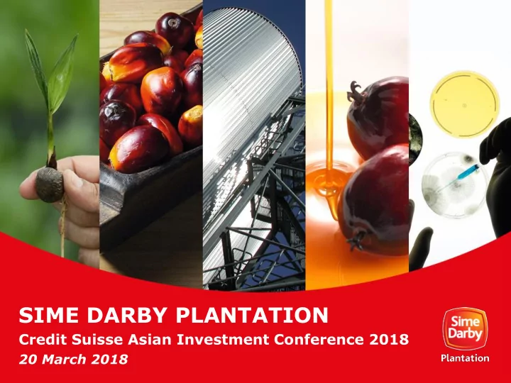 sime darby plantation