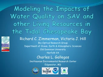 Richard C. Zimmerman, Victoria J. Hill  Bio-Optical Research Group  Department of Ocean, Earth