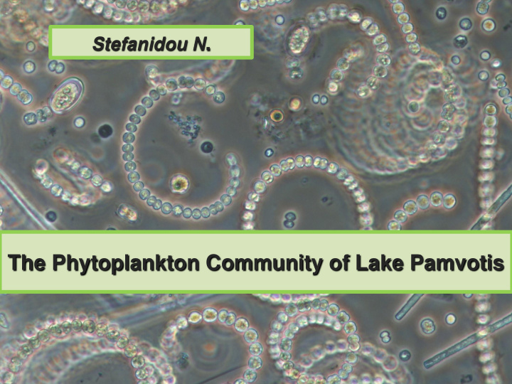 stefanidou n the phytoplankton community of lake pamvotis