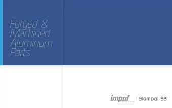 Forged &amp;  Machined  Aluminum  Parts  Basic information  COMPANY NAME  STAMPAL SB d.o.o.  YEAR