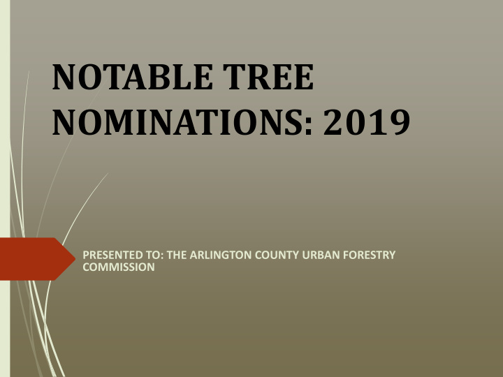 notable tree nominations 2019